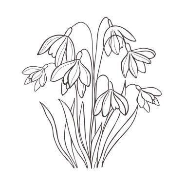 Çizgi Sanat Kar Damlası. Doğum Ayı Çiçeği. Vektör Logosu.