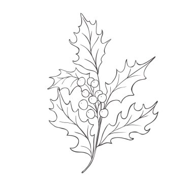 Çizgi Art Holly. Doğum Ayı Çiçeği. Vektör Logosu.