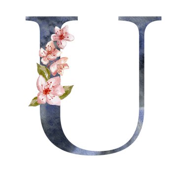 Sakura ile suluboya mektup, Kiraz Çiçekleri. Düğün Monogramı.