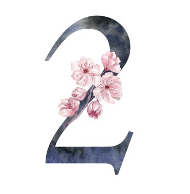 Kiraz dalından Sakura ile suluboya figür. Düğün Tasarımı Elementi.