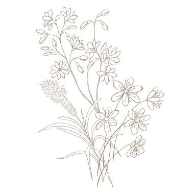 El Tarlası Yaban Çiçeği Buketi. Çizgi Sanat Vektörü İllüstrasyonu.