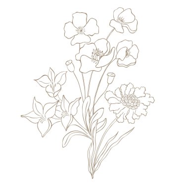 El Tarlası Yaban Çiçeği Buketi. Çizgi Sanat Vektörü İllüstrasyonu.