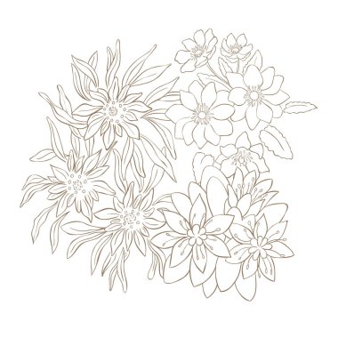 El Tarlası Yaban Çiçeği Buketi. Çizgi Sanat Vektörü İllüstrasyonu.