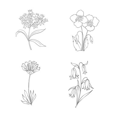 El çizimi kır çiçekleri seti. Çizgi Sanat Vektörü İllüstrasyonu.