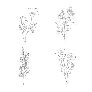 El çizimi kır çiçekleri seti. Çizgi Sanat Vektörü İllüstrasyonu.