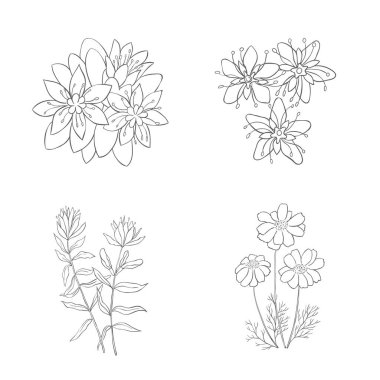 El çizimi kır çiçekleri seti. Çizgi Sanat Vektörü İllüstrasyonu.