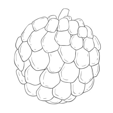 Çizgi Sanat Elması. Beyaz Arkaplanda Vektör Resimleri.