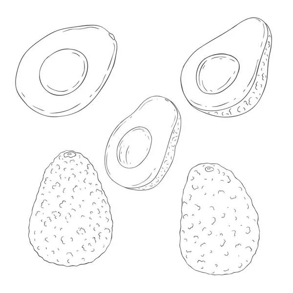 Γραμμή Art Αβοκάντο Φρούτα Εικονογράφηση Διανύσματος Λευκό Φόντο — Διανυσματικό Αρχείο