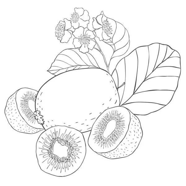 Γραμμή Art Kiwi Και Blossom Εικονογράφηση Διανύσματος Λευκό Φόντο — Διανυσματικό Αρχείο