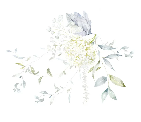 白い紫陽花と緑の枝を持つ水彩小花 — ストック写真