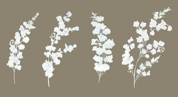 Fehér Virágok Vadon Termő Növények Akvarell Illusztráció — Stock Fotó