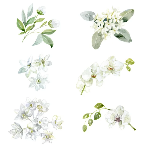 Conjunto Flores Brancas Ramo Das Orquídeas Ilustração Aquarela — Fotografia de Stock