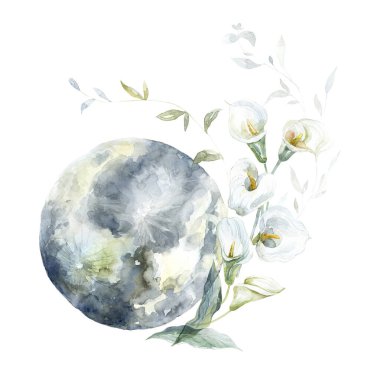 Beyaz Calla Çiçekleri 'yle ay. Suluboya Çizimi.