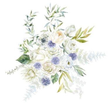 Beyaz Peony, Gül ve Protea çiçekli buket. Suluboya Çizimi.