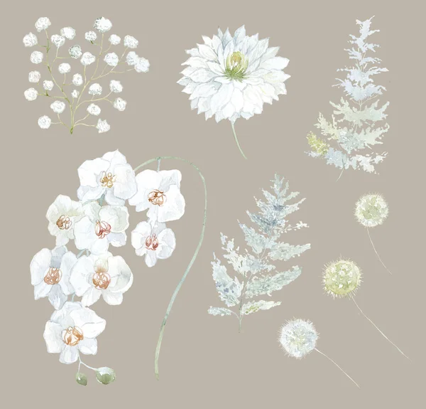 Conjunto Flores Brancas Orquídea Dália Folhas Ilustração Aquarela — Fotografia de Stock