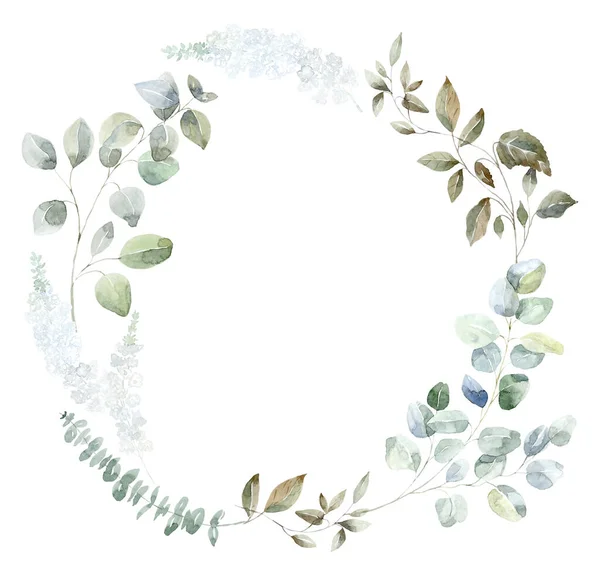 Rahmen Mit Grünen Zweigen Eycalyptus Pflanze Aquarellillustration — Stockfoto