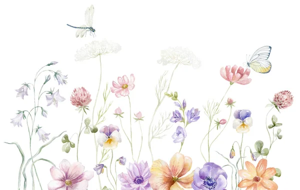 Watercolor Border Multicolor Wildflowers Summer Illustration — Stock Photo, Image