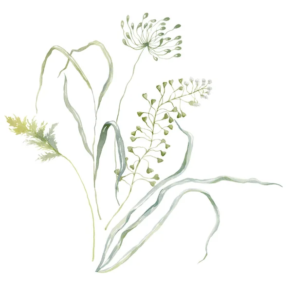 Yeşil Çimen Bitki Ile Suluboya Buket Beyaz Arkaplanda Kart Tasarımı — Stok fotoğraf
