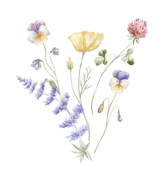 Μπουκέτο Ακουαρέλας Αγριολούλουδα Πολύχρωμα Λουλούδια Σχεδιασμός Κάρτας Στο Λευκό Φόντο — Φωτογραφία Αρχείου