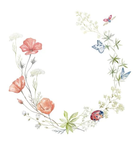 Aquarellrahmen Mit Wildblumen Auf Weißem Hintergrund Sommerliche Illustration — Stockfoto