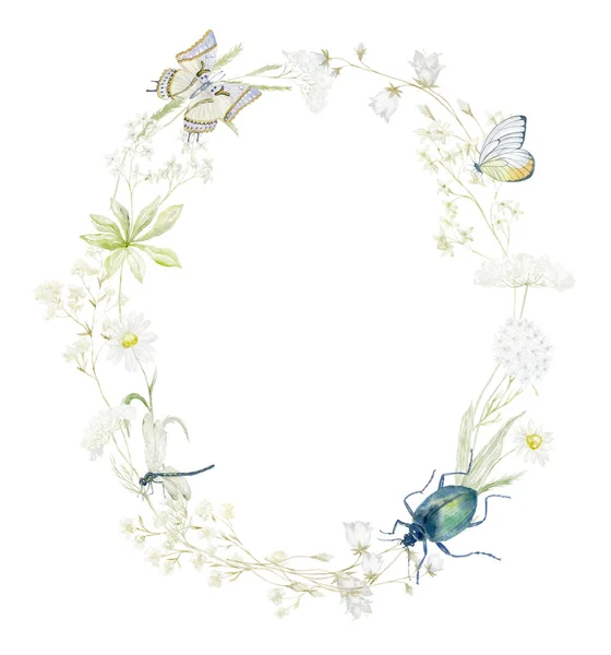 Aquarellrahmen Mit Wildblumen Auf Weißem Hintergrund Sommerliche Illustration — Stockfoto