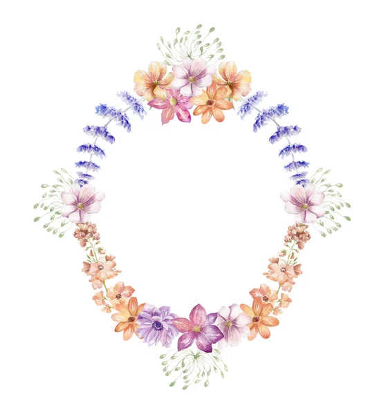 Moldura Aquarela Com Flores Silvestres Fundo Branco Ilustração Verão — Fotografia de Stock
