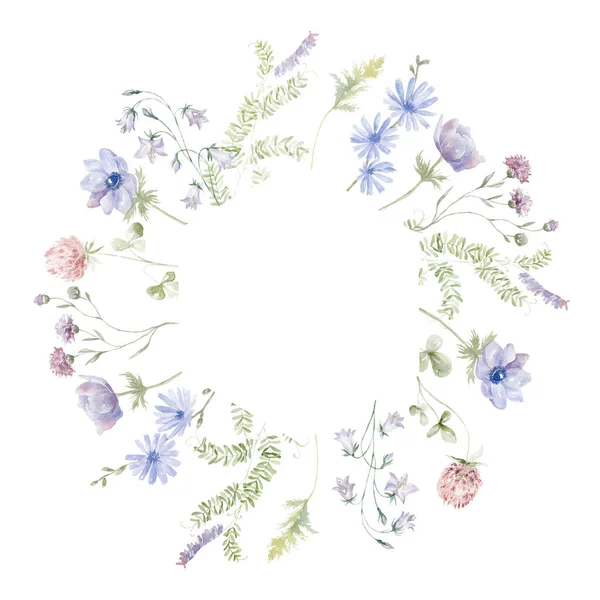 Moldura Aquarela Com Flores Silvestres Fundo Branco Ilustração Verão — Fotografia de Stock