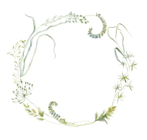 白色背景上有野花的水彩画 夏季示范 — 图库照片