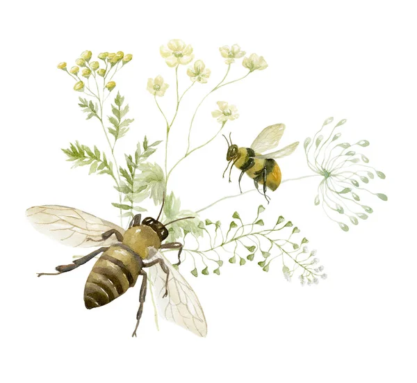 Akwarela Dzikimi Kwiatami Pszczołami Projekt Karty Białym Tle — Zdjęcie stockowe