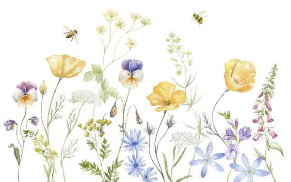 Aquarell Bordüre Mit Mehrfarbigen Wildblumen Sommerliche Illustration — Stockfoto