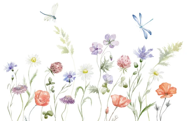 Akwarela Granica Wielokolorowymi Polnymi Kwiatami Letnia Ilustracja — Zdjęcie stockowe