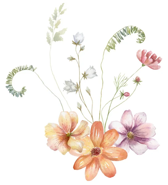 Watercolor Bouquet Wildflowers Cosmos Flowers Design Card White Background — Stock Photo, Image