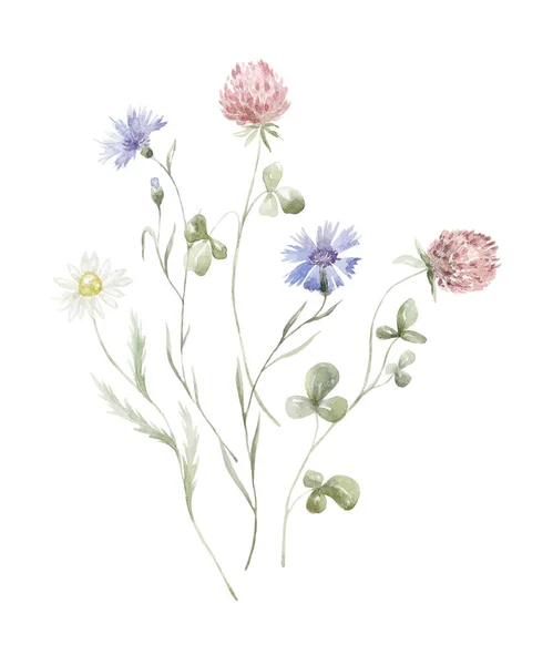 Buquê Aquarela Com Flores Silvestres Plantas Trevo Design Para Cartão — Fotografia de Stock