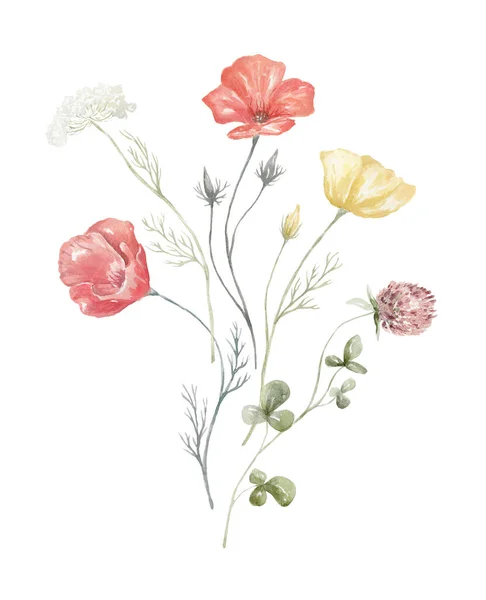 Çiçekli Suluboya Buket Kırmızı Haşhaş Bitkisi Beyaz Arkaplanda Kart Tasarımı — Stok fotoğraf
