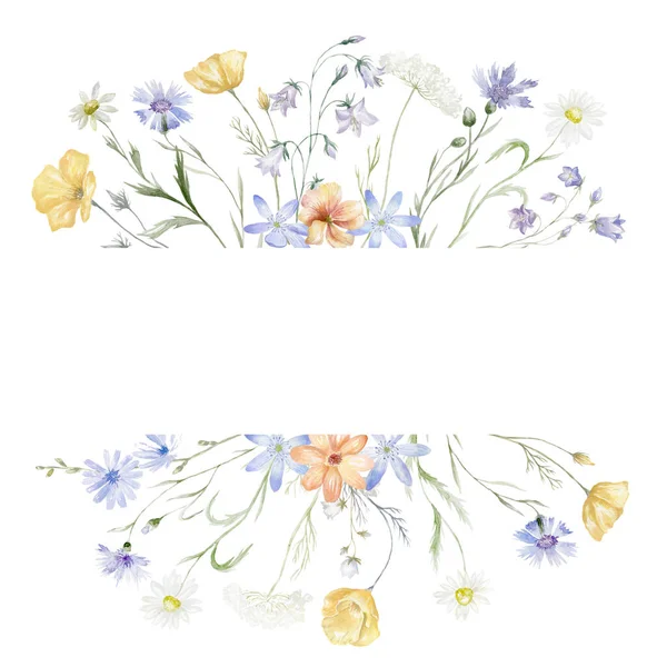 Watercolor Frame Wildflowers White Background Summer Illustration — Stock Photo, Image