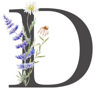 Beyaz Arkaplanda Suluboya Yaban Çiçekleri Mektubu.