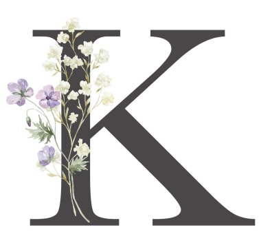 Beyaz Arkaplanda Suluboya Yaban Çiçekleri Mektubu.