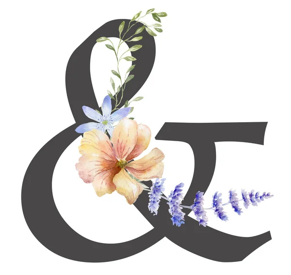 Ampersand Mit Aquarell Wildblumen Auf Weißem Hintergrund — Stockfoto
