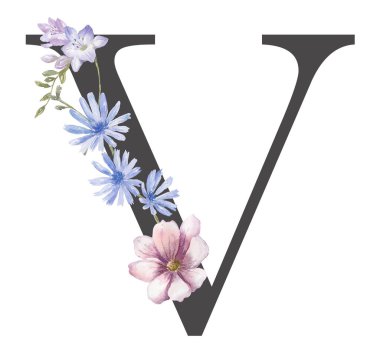 Beyaz Arkaplanda Suluboya Yaban Çiçekleri Mektubu.