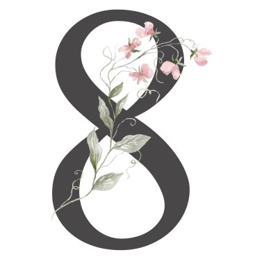 Beyaz Arkaplanda Suluboya Yaban Çiçekleri.