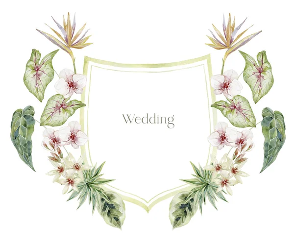白色背景上有兰花的水彩花冠 婚礼设计 — 图库照片