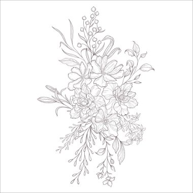 Cosmos Flowers 'la düğün buketi. Çizgi Sanatı İllüstrasyonu.