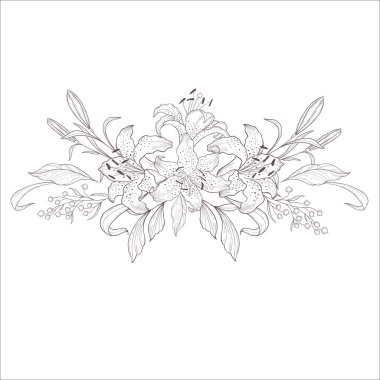 Lily ile düğün buketi. Çizgi Sanatı İllüstrasyonu.