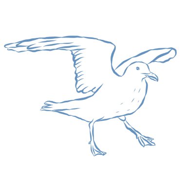 Martı Çizgisi Sanat Resimleri. Vektör Grafiği.