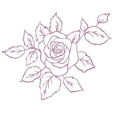 Kırmızı Gül Şubesi. Çizgi Sanatı İllüstrasyonu.