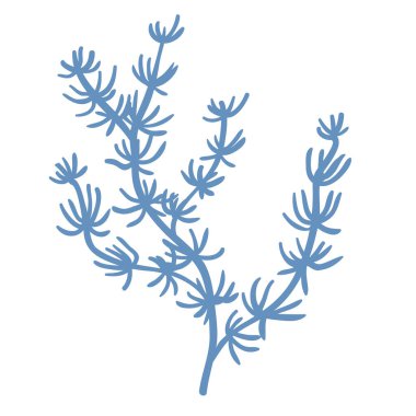 Deniz yosununun Çizgi Sanatı Çizgisi. Vektör Grafiği.