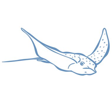 Stingrey 'in Çizgi Sanat Resimleri. Vektör Grafiği.