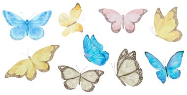 Beyaz Arkaplanda Kelebeğin Suluboya Çizimi.