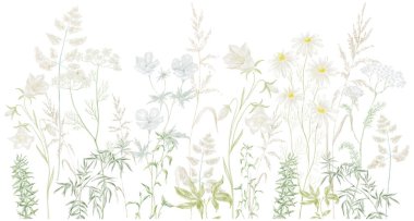 Beyaz Arkaplanda Çiçek Sınırı 'nın Suluboya İllüstrasyonu. Vahşi Çiçekler.