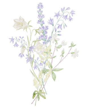 Beyaz Arkaplanda Buket 'in Suluboya İllüstrasyonu. Vahşi Çiçekler